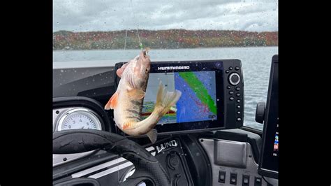 Chasing Perch With Garmin Panoptix YouTube