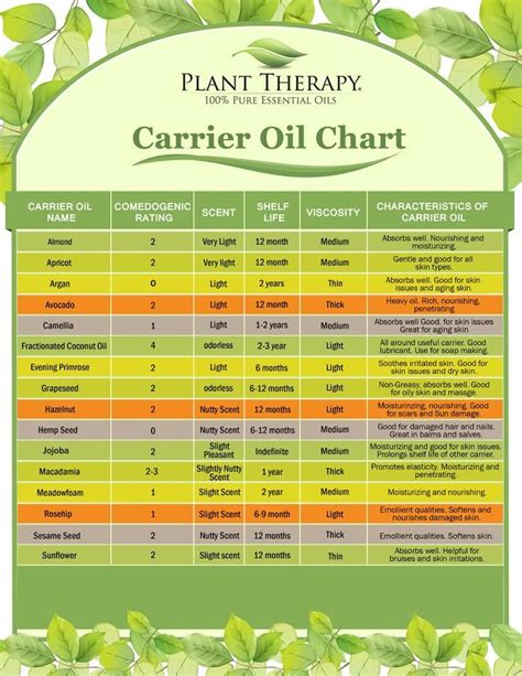 Carrier Oils The Other Part Of The Equation Artofit