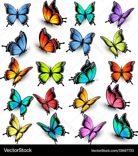 Collection Of Colorful Butterflies Flying In Vector Image