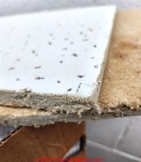 Asbestos Ceiling Tile Identification 5 Steps
