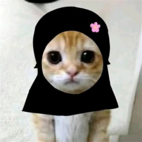 10 Pp Kucing Ramadhan 2024 Pakai Peci Berhijab Lucu