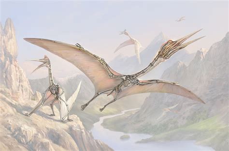 Quetzalcoatlus on Behance