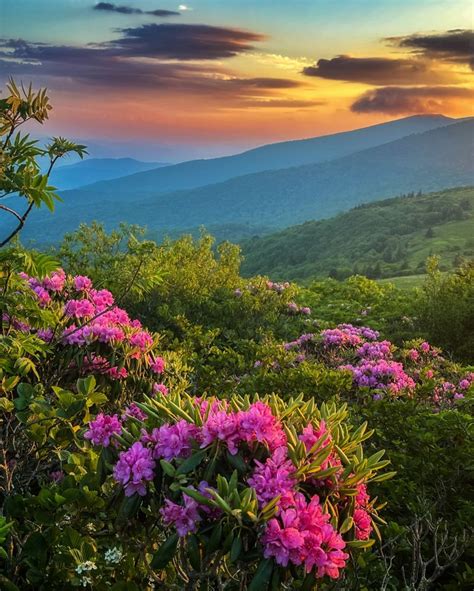 Thomas Mabry On Linkedin Bring Back The Magic Jane Bald Appalachian