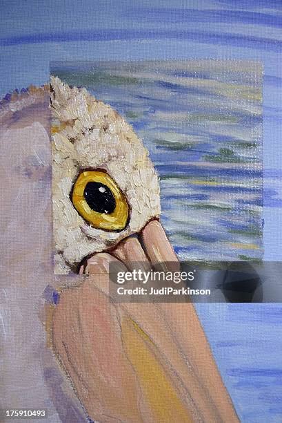 169 Pelican Painting Stock Photos High Res Pictures And Images