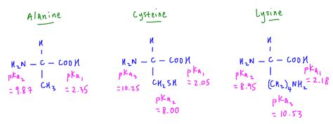 SOLVED Draw The Zwitterion Structure For Each Of The 51 OFF