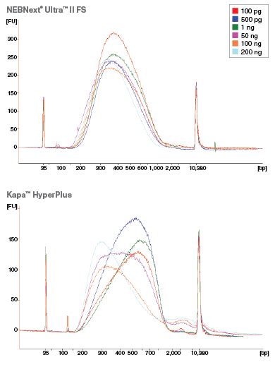 Nebnext® Ultra™ Ii Fs Dna Library Prep Kit For Illumina® Neb