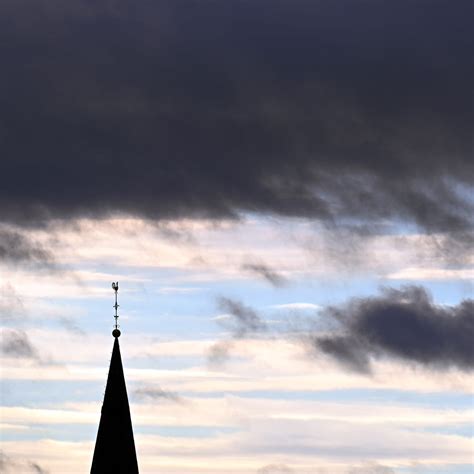 Sturm lässt Bäume in RLP umkippen und blockiert Straßen SWR Aktuell