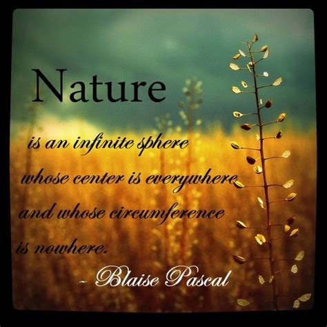 Transcendentalism Nature Quotes. QuotesGram