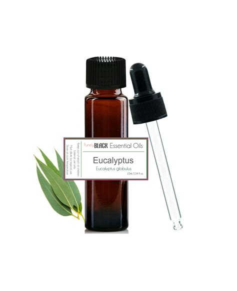 Buy Pure Eucalyptus Oil And Make Multi Purpose Eucalyptus Spray