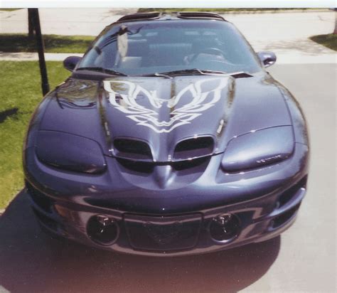 1982 To 2002 Trans Am And Firebird Hood Birds Stencils And Stripes
