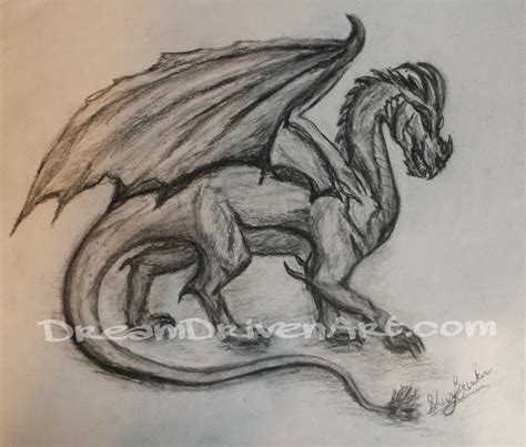 Charcoal Dragon Drawing - Dream Driven Art