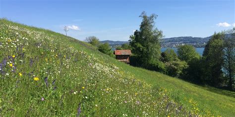 Intensive Vs Extensive Landwirtschaft Was Ist Der Unterschied