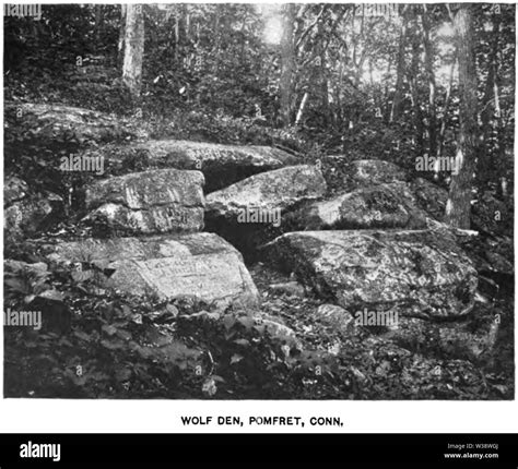 Wolf den Cut Out Stock Images & Pictures - Alamy