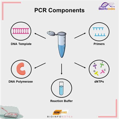 Pcr Machine Principle Parts Steps Types Uses Examples Off