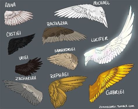 Angel Wings by Archangel-Wings on DeviantArt