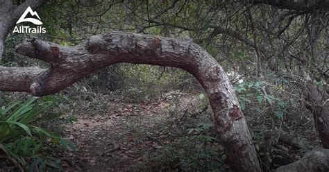 Lucena As Dez Melhores Trilhas E Caminhadas Alltrails