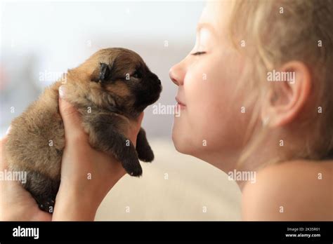 Jolie Fille Blonde Et Son Chien Banque De Photographies Et Dimages Haute R Solution Alamy