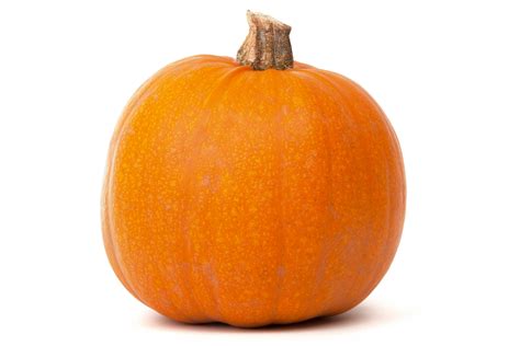 Pumpkin Isolated Free Stock Photo Public Domain Pictures