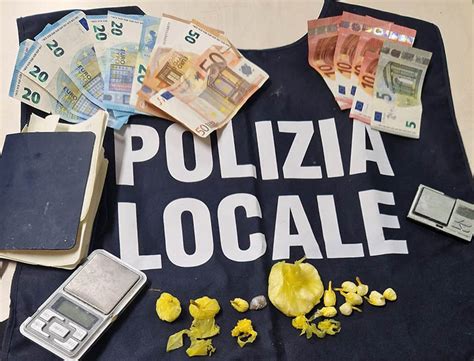 Polizia Locale Arrestato Un Pusher Aveva Trasformato La Propria