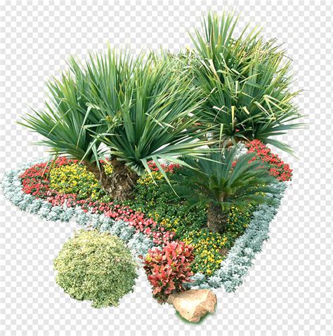 Garden Shrub Plant Plant Grass Plants Flower Png Pngwing