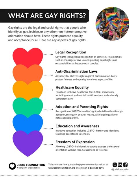 Understanding Gay Rights Poster Venngage