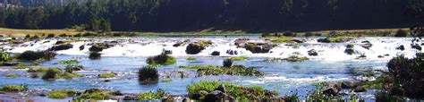 Pykara Falls Ooty, India | Best Time To Visit Pykara Falls