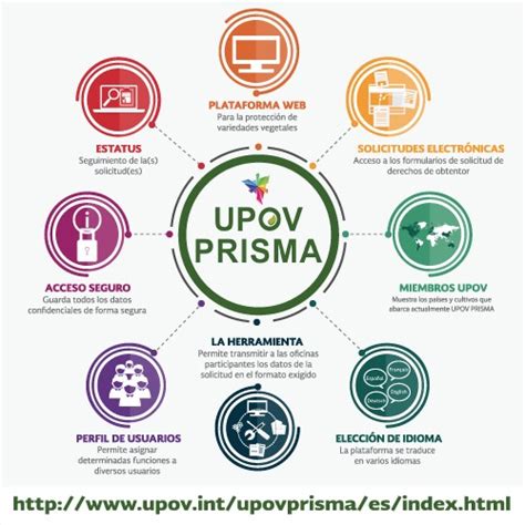 Qu Es Upov Prisma Servicio Nacional De Inspecci N Y Certificaci N