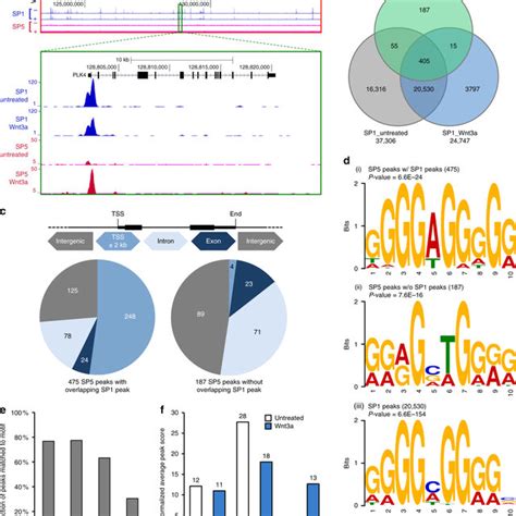 Genome Wide Mapping Of Sp Binding Sites A Representative Example Of