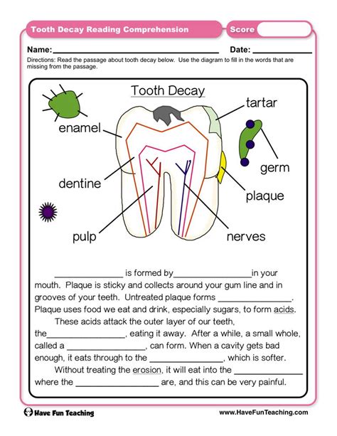 Dental Worksheet For Th Grade