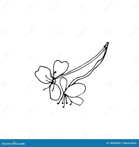 Vector One Sakura Black Spring Illustration Flowers Line Art On A