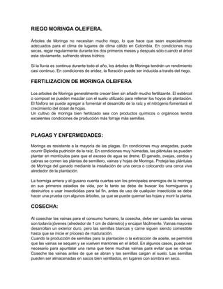 Moringa Oleifera Siembra Y Cuidados Pdf