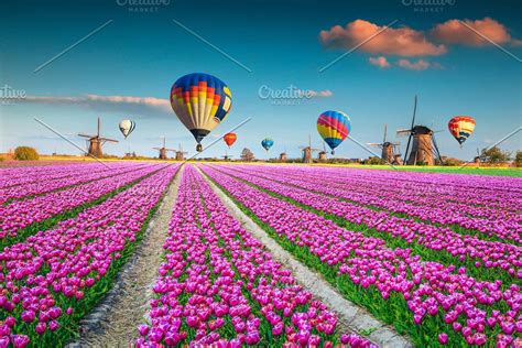 Tulip Fields Bicycles Windmills Background For Photography Background Photo Best Views