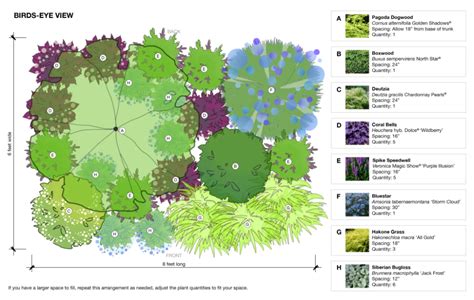 Garden Design Deer Resistant Garden For Part Shade Home Outside