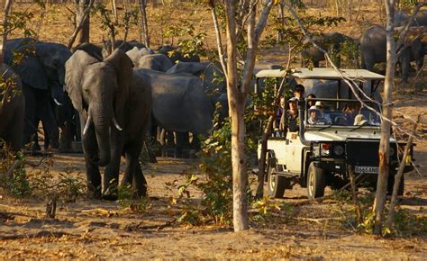 Chobe Game Lodge Tour Africa