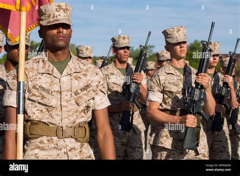 Recruits Of Platoon 3025 India Company 3rd Recruit Training Battalion