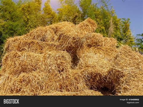 Pile Straw, Stack Image & Photo (Free Trial) | Bigstock