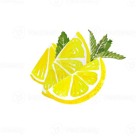 Watercolor Citrus Lemon Slice Png