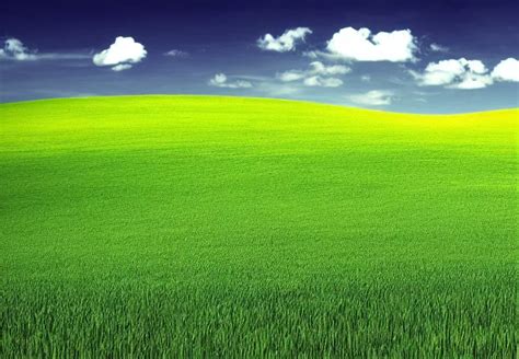 Windows Xp Wallpaper Bliss Hd High Quality Stable Diffusion Openart