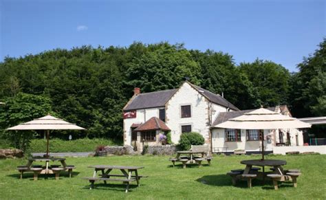 Best Dog Friendly Hotels in Dorset | The Hotel Guru