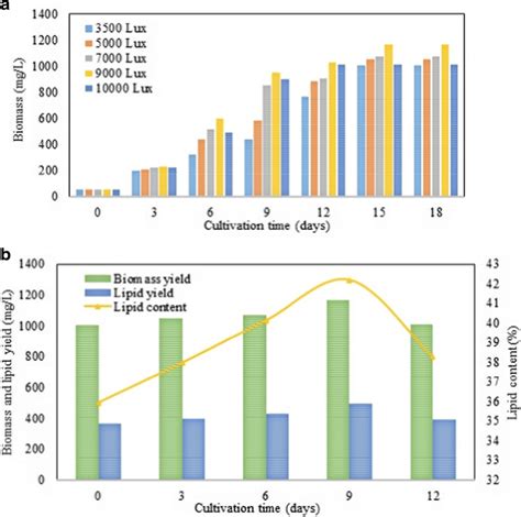 A Growth Pattern Of C Minutissima Under Different Light Intensities