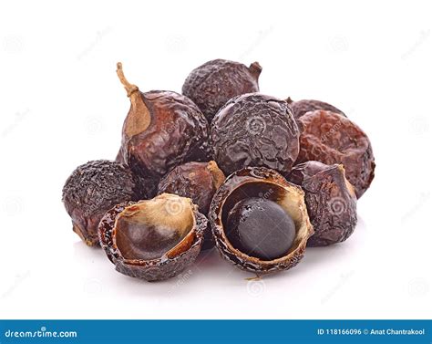 Soap Nut Tree on White Background Stock Photo - Image of indian, blue: 118166096