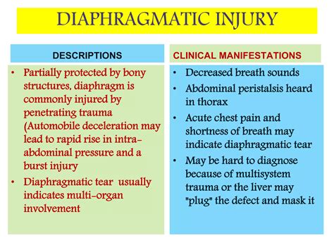 Abdominal Injury Ppt