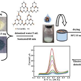 Schemetic Of Steps For The Preparation Of Ni Cu OH 2 GC 3 N 4 Glassy