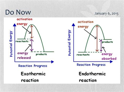 Endothermic Reaction Profile At Victor Ming Blog