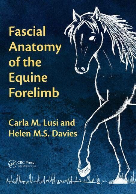 Fascial Anatomy Of The Equine Forelimb Pdf