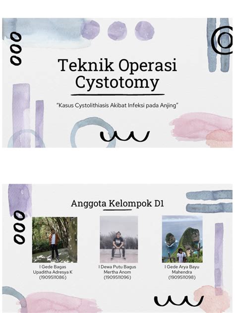 Teknik Cystotomy Pada Anjing PDF | PDF