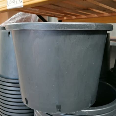 Heavy Duty Plant Pots Large 25 Litre ScotPlants Direct UK