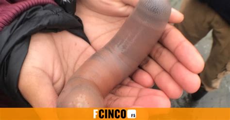 Invasi N De Peces Pene En Una Playa De California Comparte