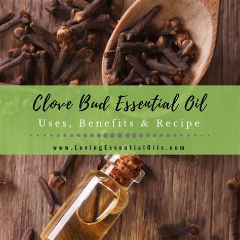 Clove Essential Oil Uses Benefits And Recipes Spotlight