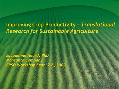 Improving Crop Productivity Translational Research For Sustainable Agriculture Jacqueline